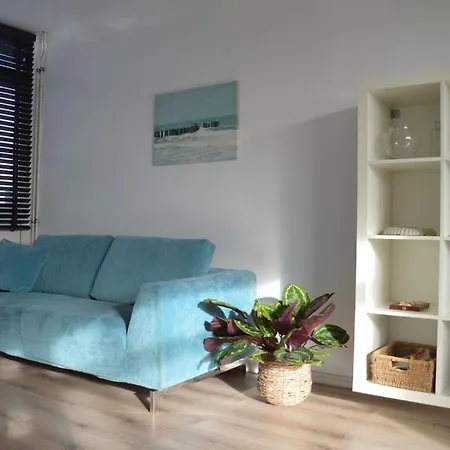 Seapaerdje بيرشن أن زي